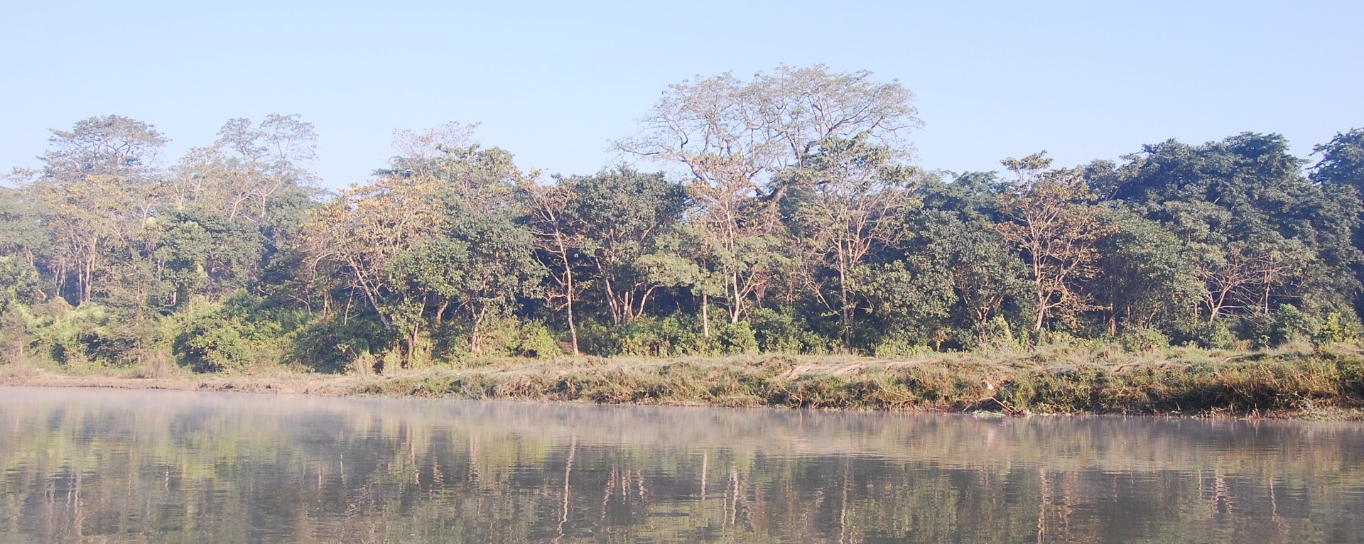 The National park forest beside the rapti river.
