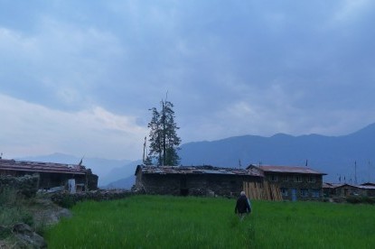 Briddhim Village of Tamang Heritage Trail Trek.